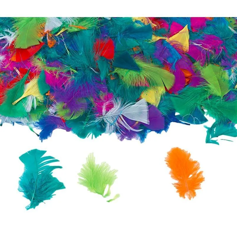 Turkey Feathers - Rainbow (Approx. 130 Pack)